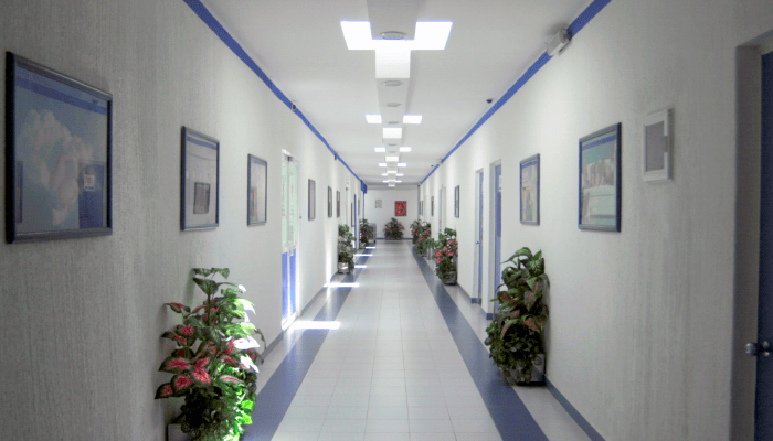 Pasillos maternidad